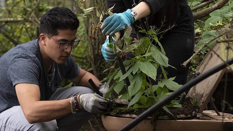 Menschen bei der Gartenarbeit