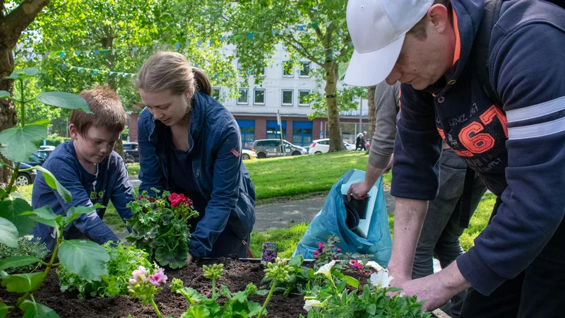 Kinder arbeiten an einem Beet