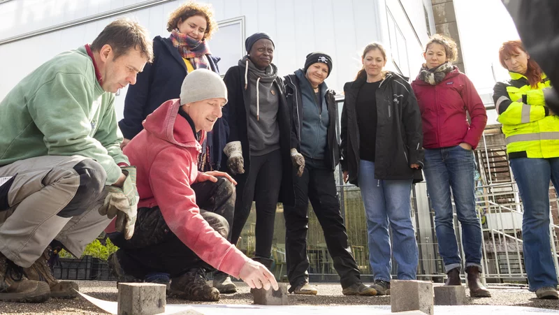 Stehende Menschen schauen draußen auf ein mit Steinen beschwertes großes Papier