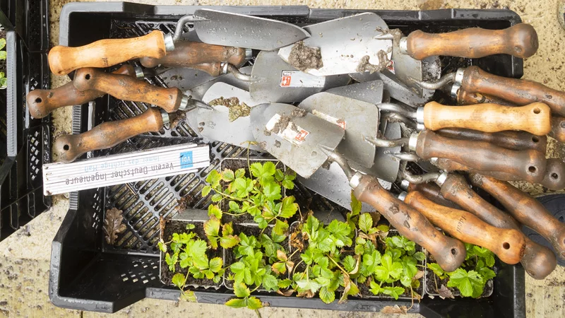 Gartenwerkzeug und Blumentöpfe am Rand eines Feldes